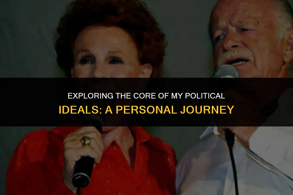 what do my ideals politics