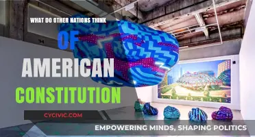 American Constitution: Global Perceptions and Comparisons