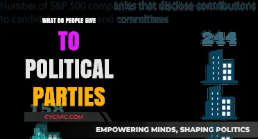 What Do People Give to Political Parties? Uncovering Donations and Support