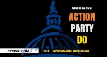 Understanding Political Action Committees: Roles, Influence, and Impact Explained