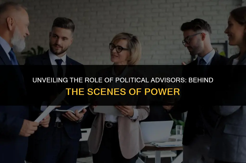 what do political advisors do