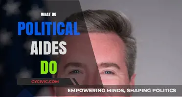 Behind the Scenes: The Crucial Role of Political Aides in Shaping Policy and Public Perception