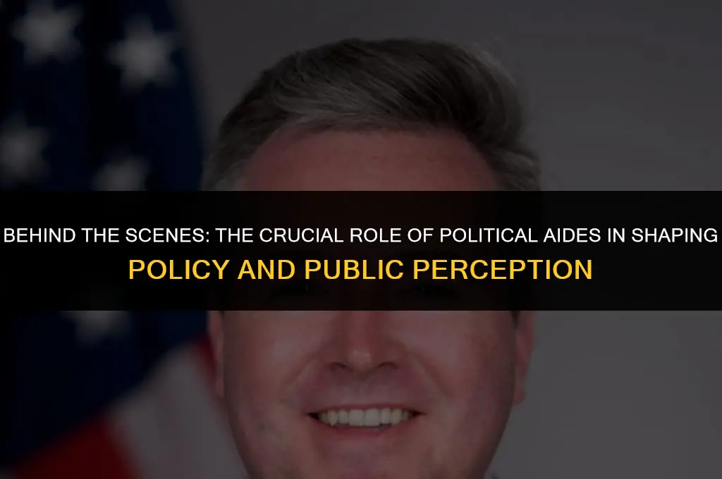 what do political aides do