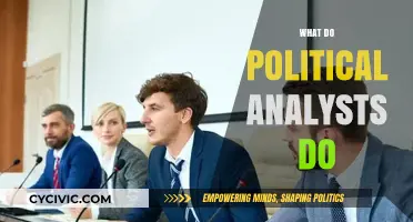 Unveiling the Role: What Political Analysts Do and Why It Matters