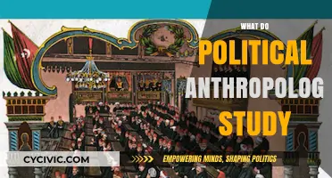 Exploring Power Dynamics: What Do Political Anthropologists Study?