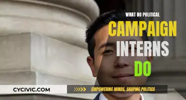 Campaign Interns: The Political Workhorses