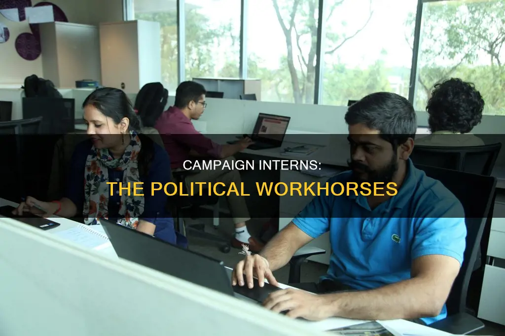 what do political campaign interns do