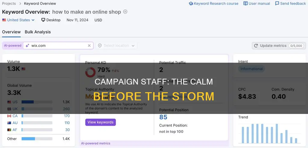 what do political campaign staff do between elections