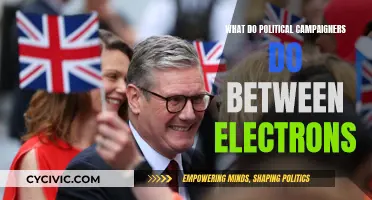 Campaign Strategies: The Art of Engaging Voters Between Elections