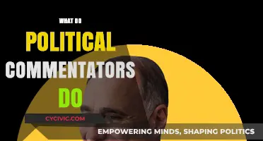 Exploring the Role of Political Commentators in Modern Democracy