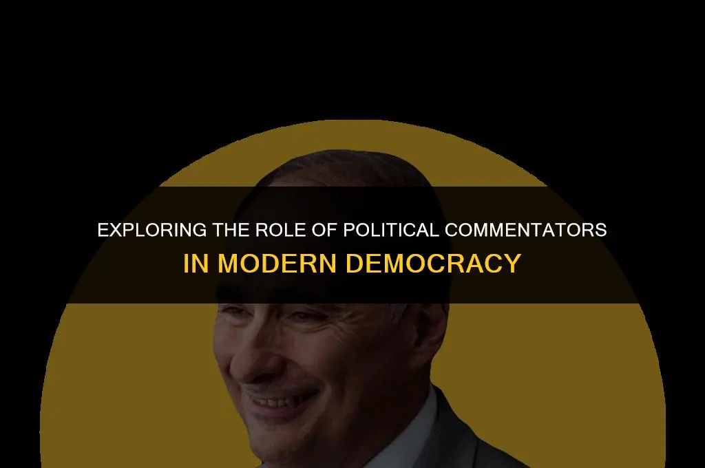 what do political commentators do