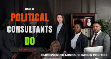 Unveiling the Role: What Political Consultants Do Behind the Scenes