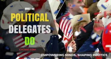 Understanding the Role and Responsibilities of Political Delegates
