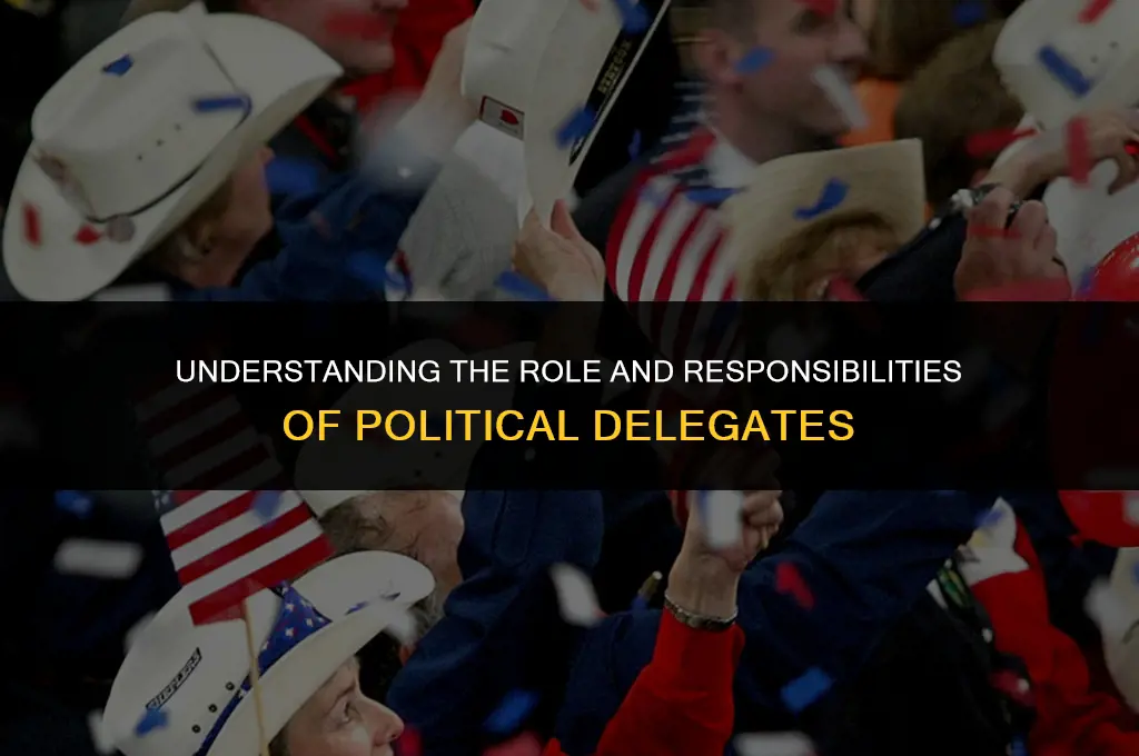what do political delegates do