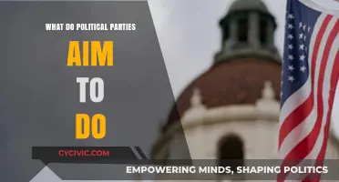 Understanding Political Parties' Goals: Power, Policy, and Public Representation