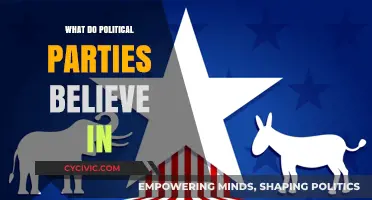 Understanding Political Parties: Core Beliefs, Values, and Ideologies Explained