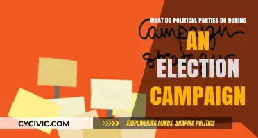 How Political Parties Strategize and Mobilize During Election Campaigns