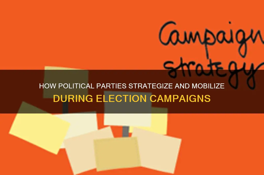what do political parties do during an election campaign