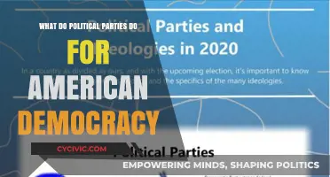 How Political Parties Shape and Influence American Democracy Today