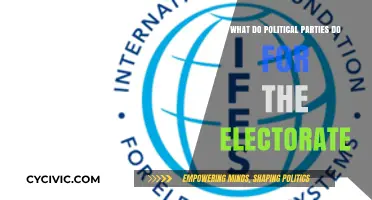 How Political Parties Serve Voters: Roles, Responsibilities, and Impact