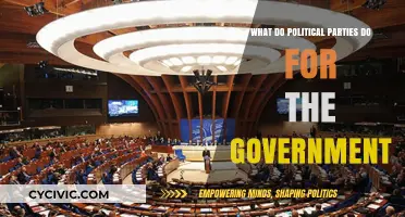 How Political Parties Shape Government Policies and National Governance