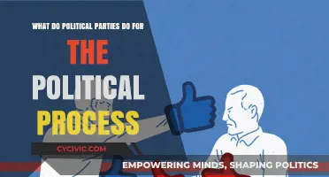 How Political Parties Shape and Drive the Political Process