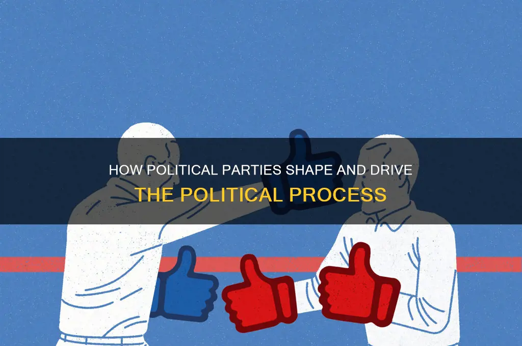 what do political parties do for the political process