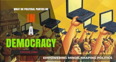 Understanding the Role of Political Parties in Democratic Governance