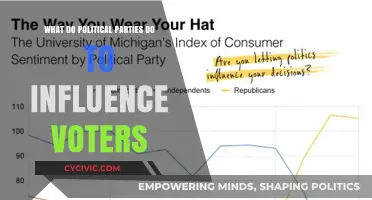 How Political Parties Strategically Sway Voter Opinions and Decisions