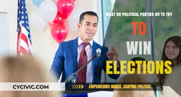 Strategies Political Parties Employ to Secure Electoral Victories