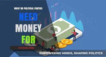 Why Political Parties Rely on Funding: Expenses and Strategies Explained