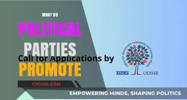 Understanding Political Parties: Core Values, Policies, and Public Advocacy