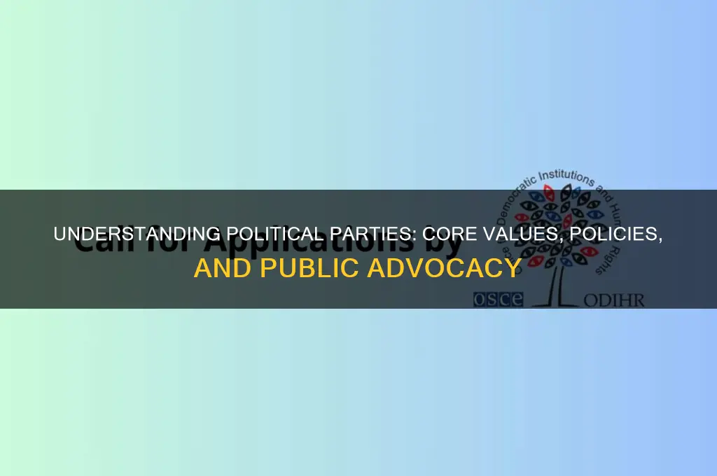 what do political parties promote