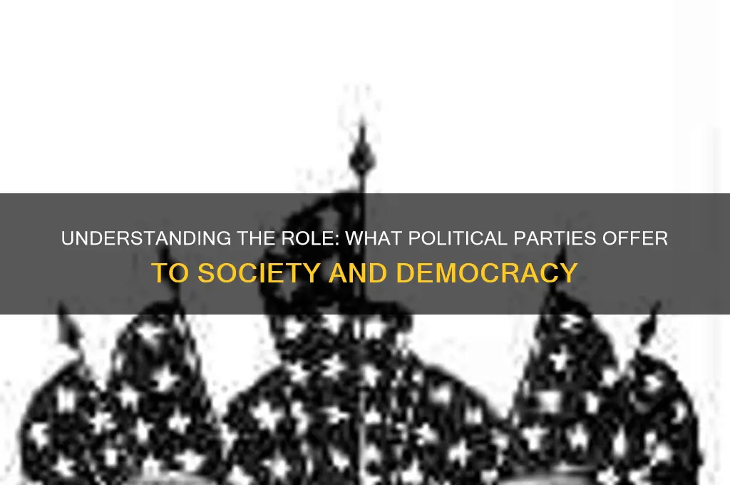what do political parties provide