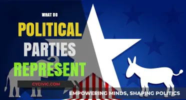 Understanding Political Parties: Ideologies, Values, and Representation Explained
