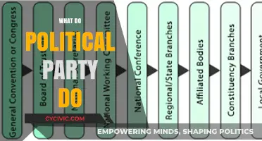 Understanding Political Parties: Roles, Functions, and Impact on Governance