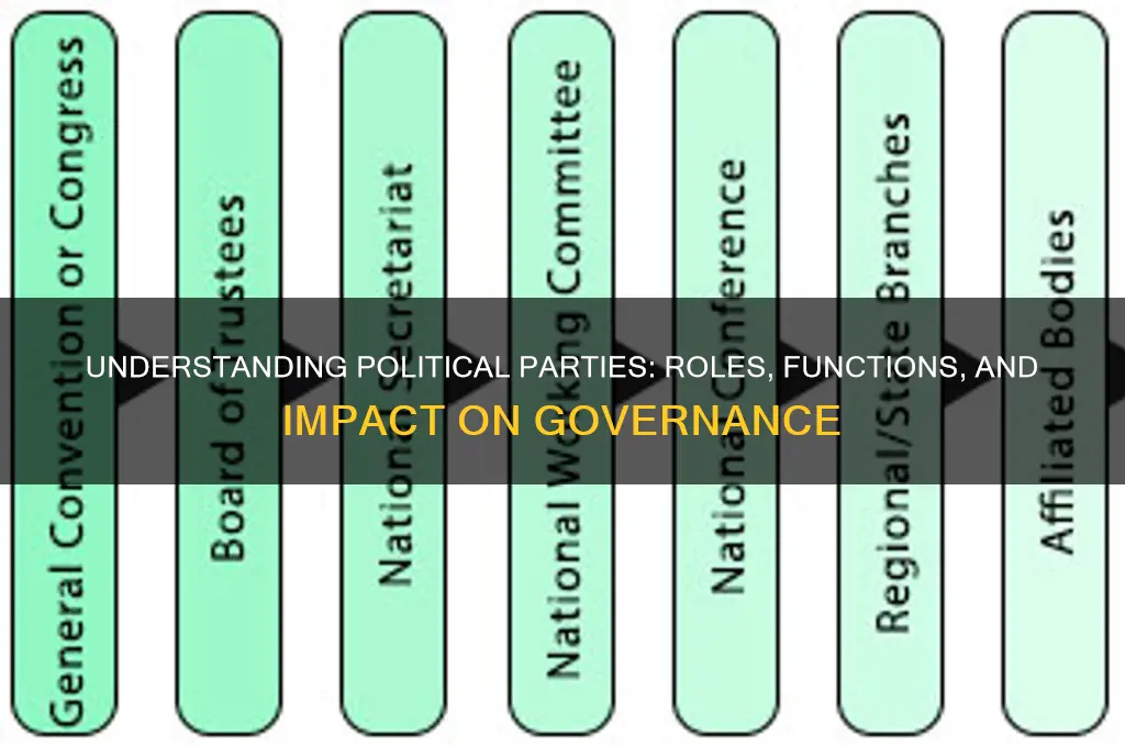 what do political party do