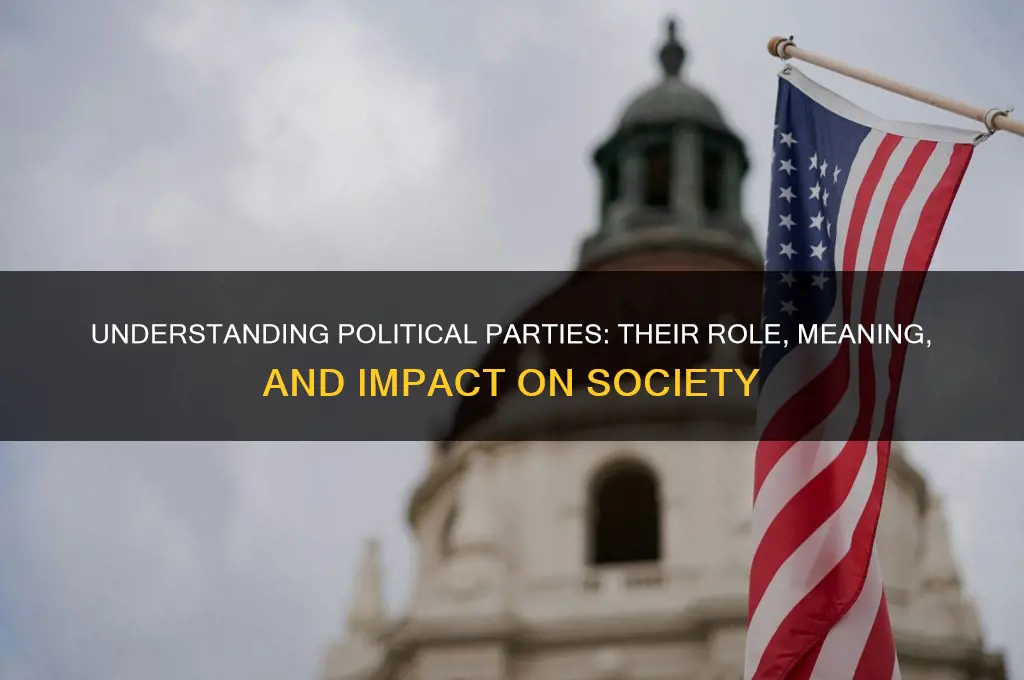 what do political party mean