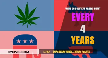 Every Four Years: Political Parties' Drafting Process Explained