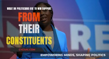 How Politicians Win: Strategies to Sway Constituents
