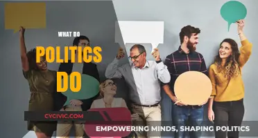 Understanding Politics: Shaping Societies, Policies, and Global Dynamics Explained