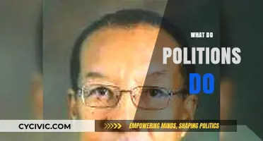 Unveiling the Roles and Responsibilities of Politicians in Modern Society