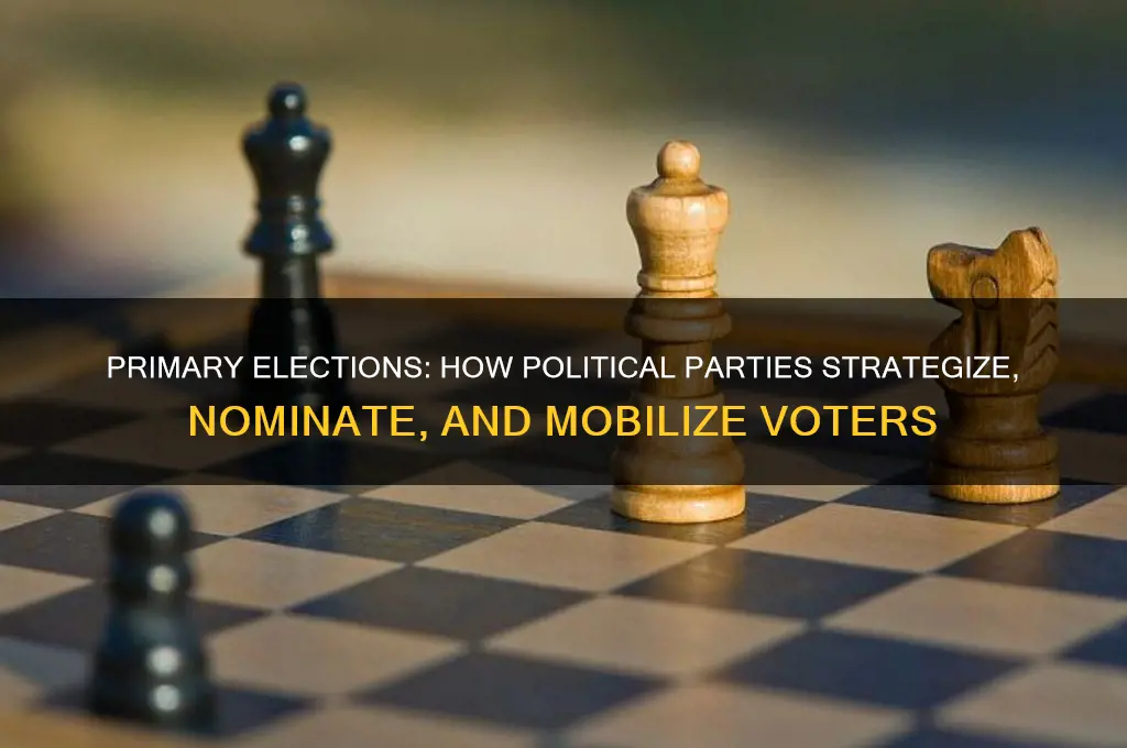what do primary elections allow political parties to do