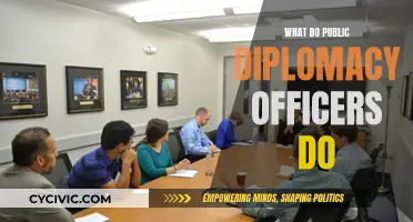 Public Diplomacy Officers: Building Bridges, Shaping Global Narratives