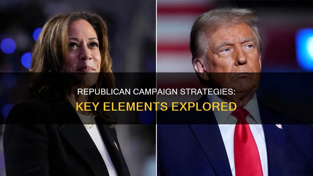 what do republicans include in political campaigns