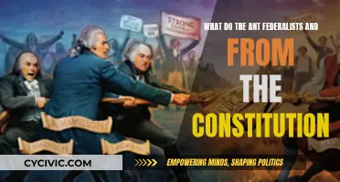 Antifederalists: Constitution's Critics and Their Legacy