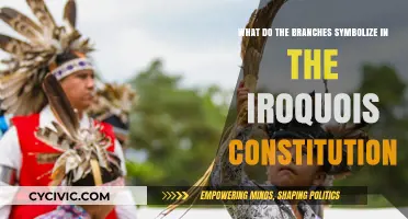 Branches of Unity: Iroquois Constitution Symbolism