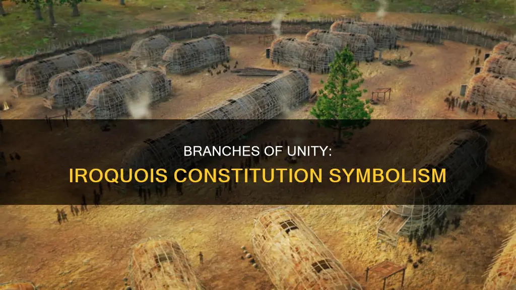what do the branches symbolize in the iroquois constitution