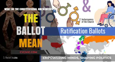 Understanding the Ballot: Constitutional Amendments Explained