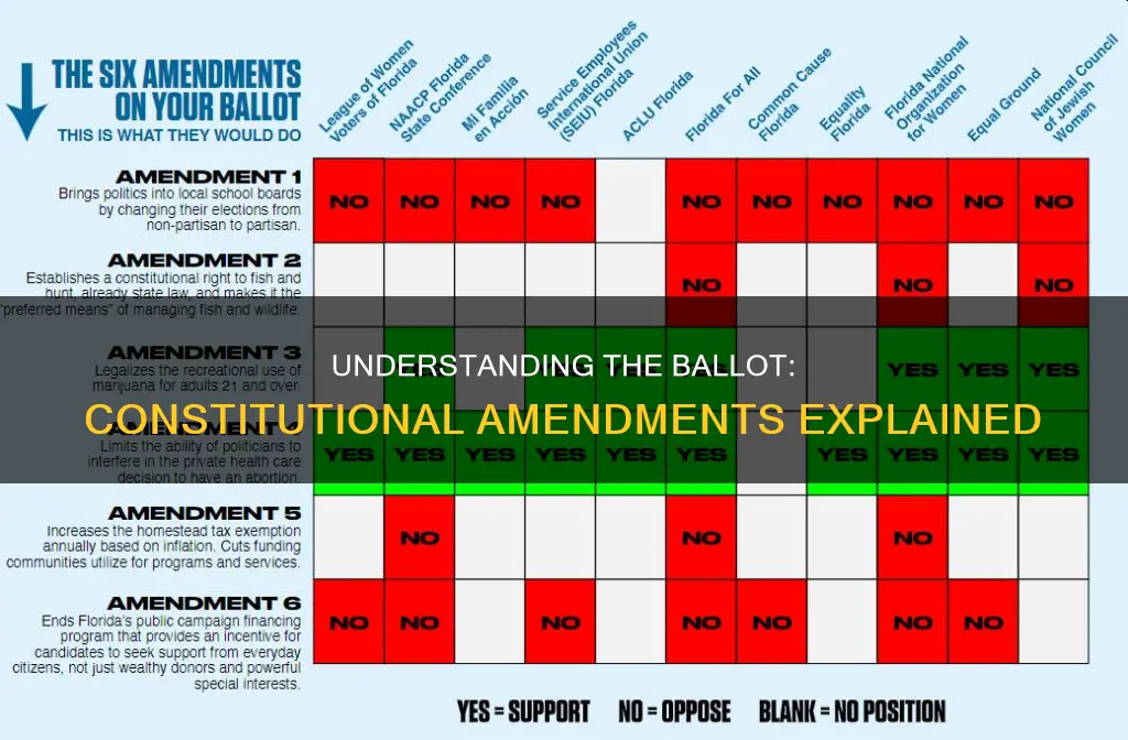 what do the constitutional amendments on the ballot mean